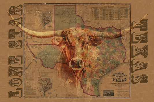 longhorn cow and vintage map of Texas