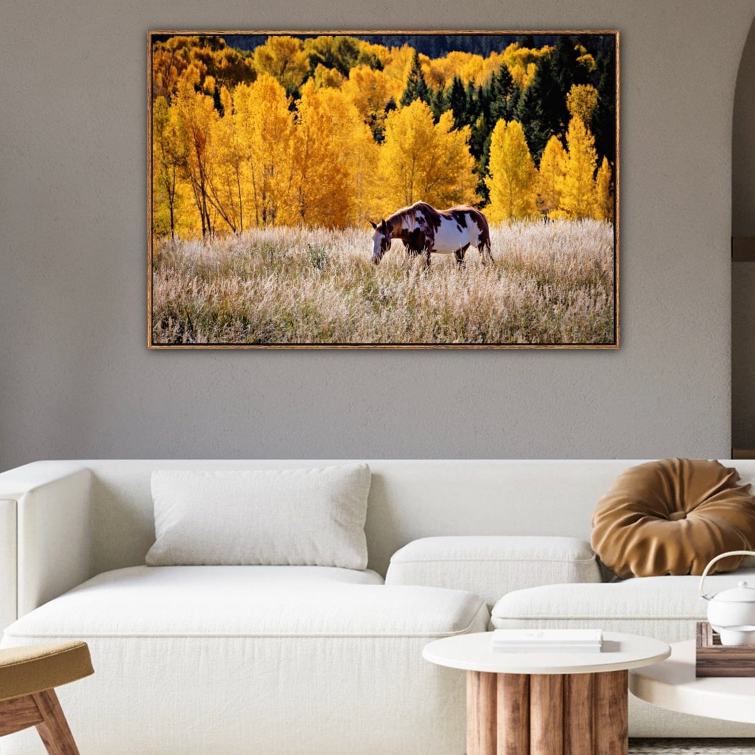 photo of a paint horse walking in tall grass with yellow aspen trees in the background