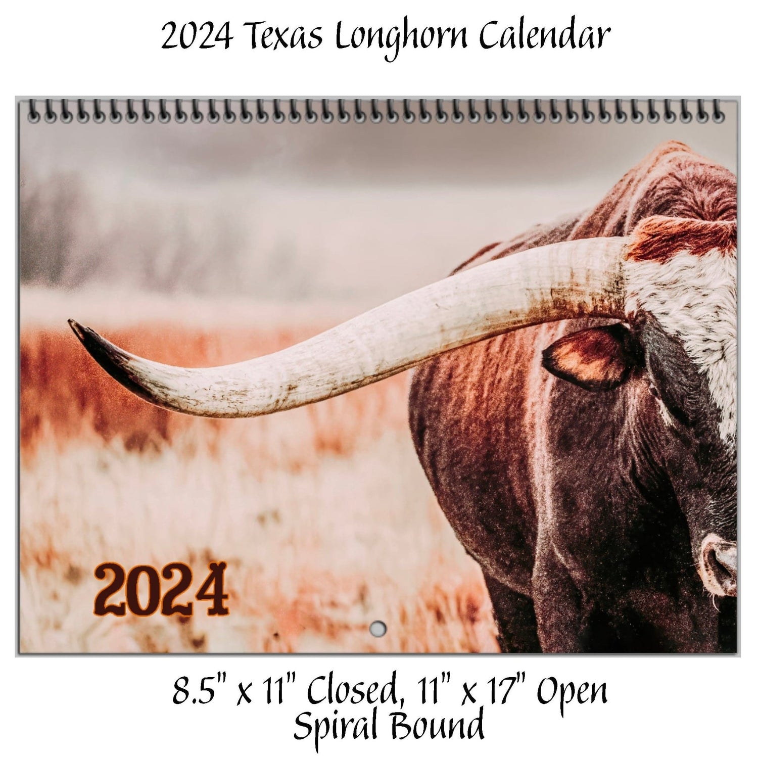 wall calendar featuring black Angus cattle