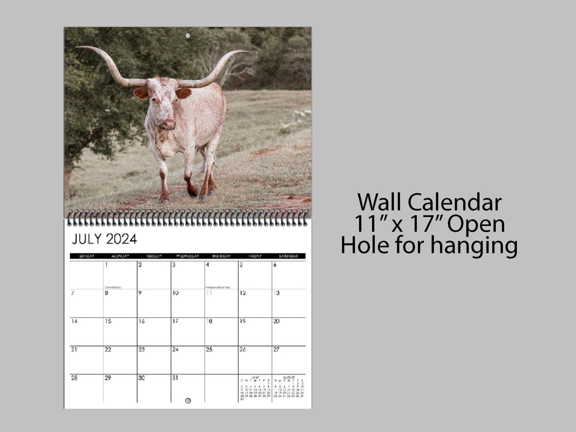 Texas Longhorn Wall Calendar or Desktop Planner Wall Calendar Calendar Teri James Photography