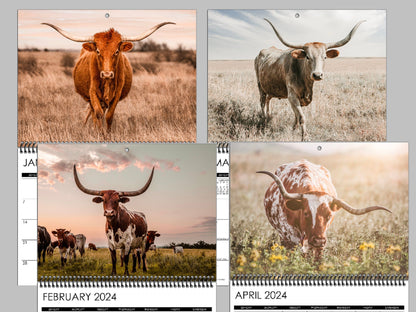 Texas Longhorn Wall Calendar or Desktop Planner Calendar Teri James Photography