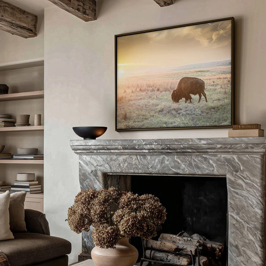 American Bison Canvas Print Wall Art Teri James Photography