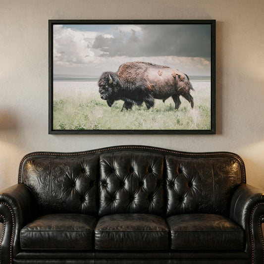 American Bison Canvas Print - Wildlife Wall Art for Rustic Cabin Decor Canvas-Black Frame / 12 x 18 Inches Wall Art Teri James Photography