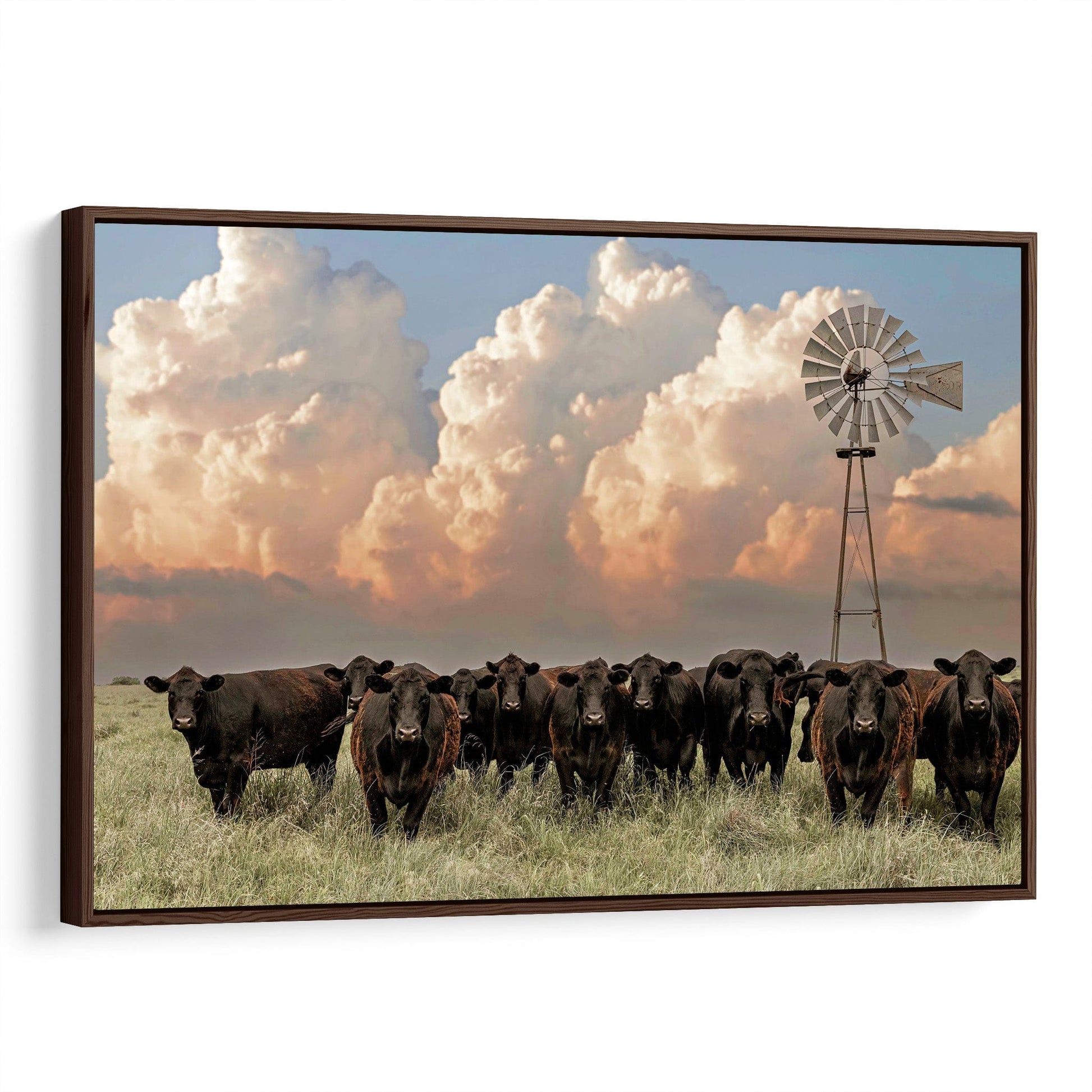 Angus Cattle and Old Windmill Canvas Canvas-Walnut Frame / 12 x 18 Inches Wall Art Teri James Photography