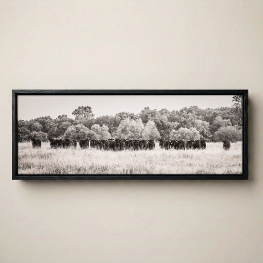 Angus Cattle Canvas - Panoramic Black and White Western Print