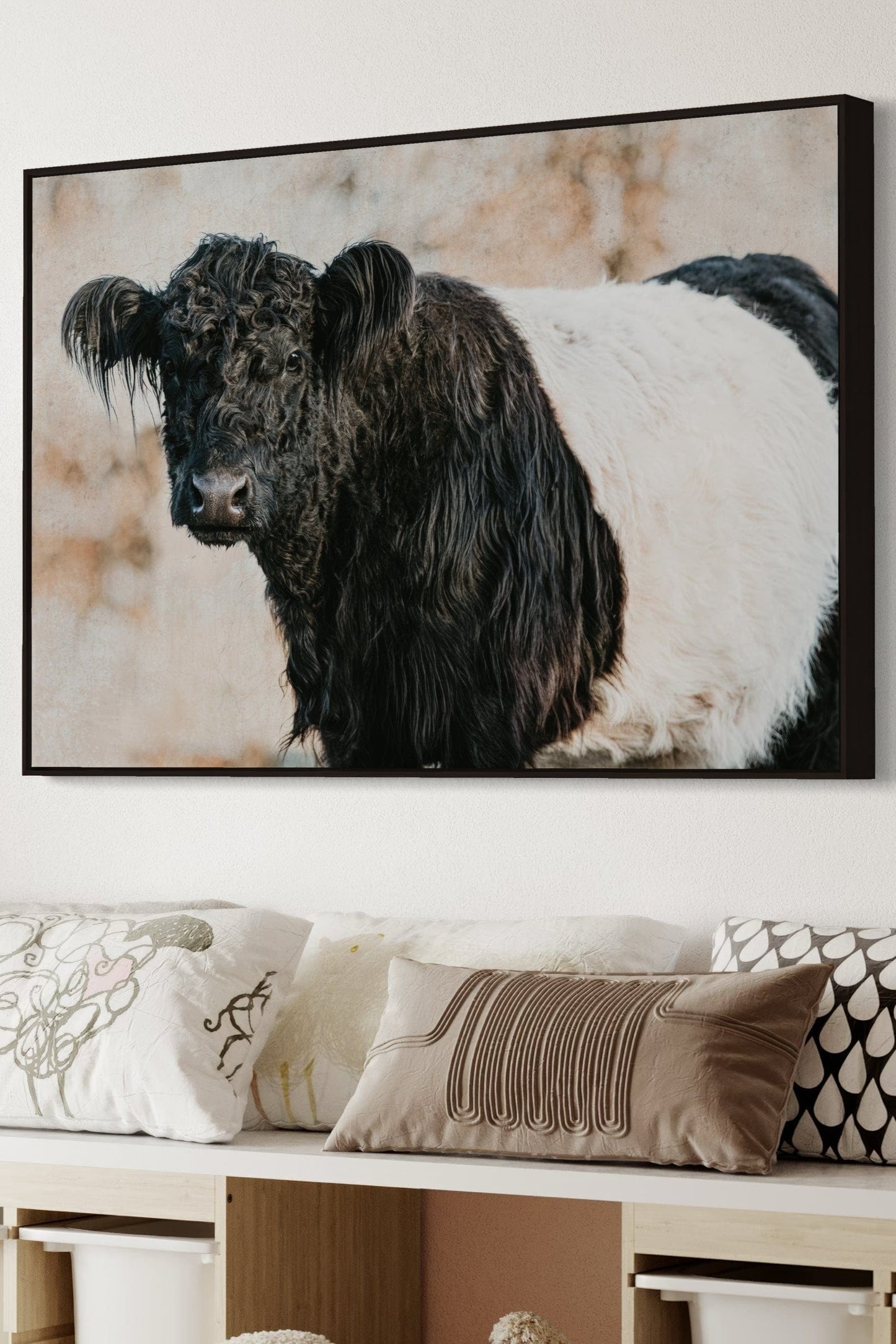 Belted Galloway Canvas Art - Farm Animal Wall Art Cow Print