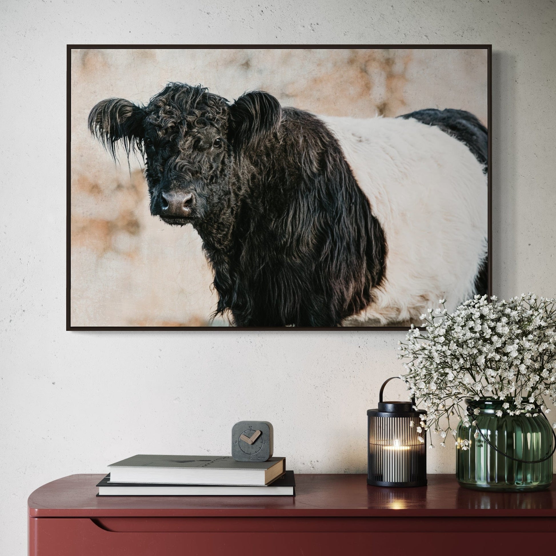 Belted Galloway Cow Canvas Art Wall Art Teri James Photography