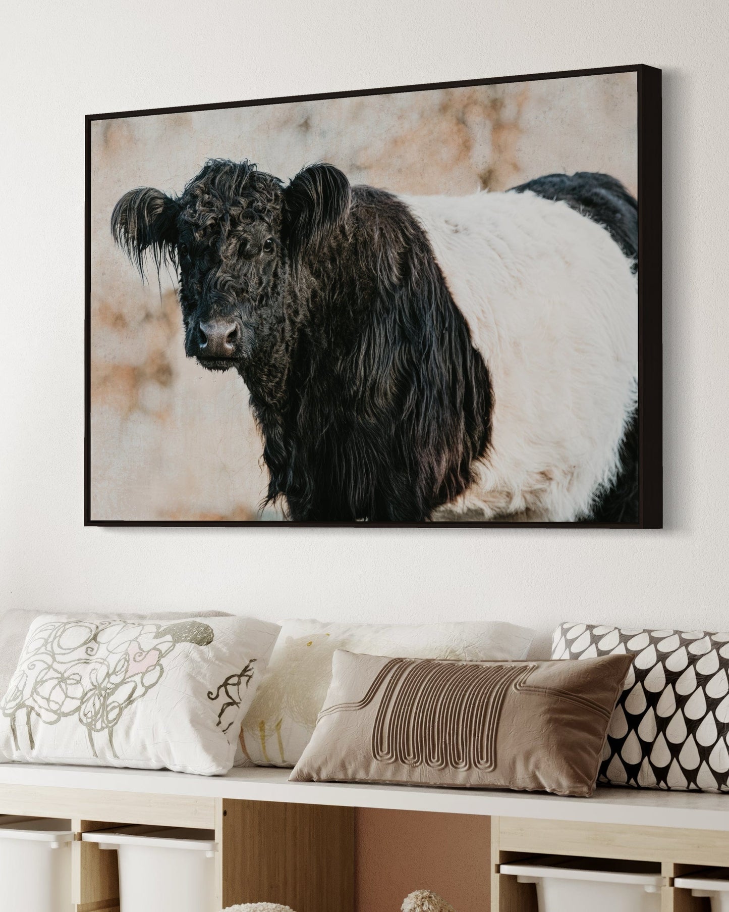 Belted Galloway Cow Canvas Art Wall Art Teri James Photography