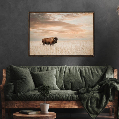 Bison on the Prairie with Golden Sunset Wall Art Teri James Photography