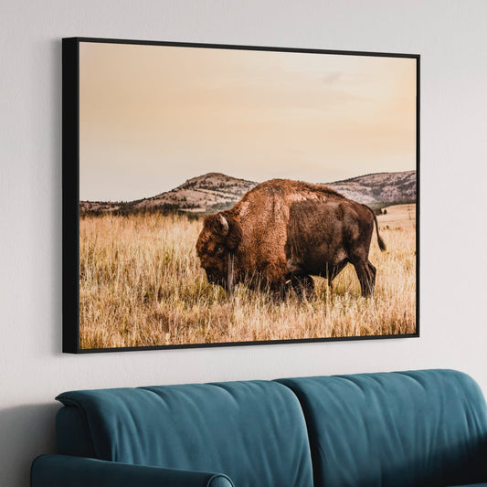 Bison Wall Art Canvas Print Wall Art Teri James Photography