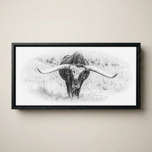 Black and White Longhorn Panoramic Canvas