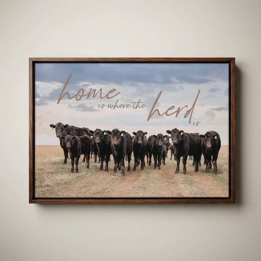 Black Angus Canvas - Inspirational Wall Art