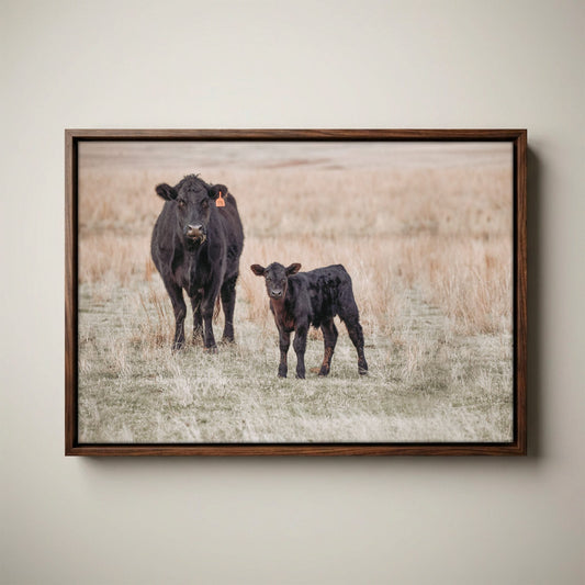 Black Angus Canvas Print – Cow and Calf Western Nursery Art