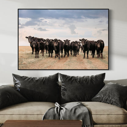Black Angus Cattle Decor - Blue Oklahoma Sky Wall Art Teri James Photography