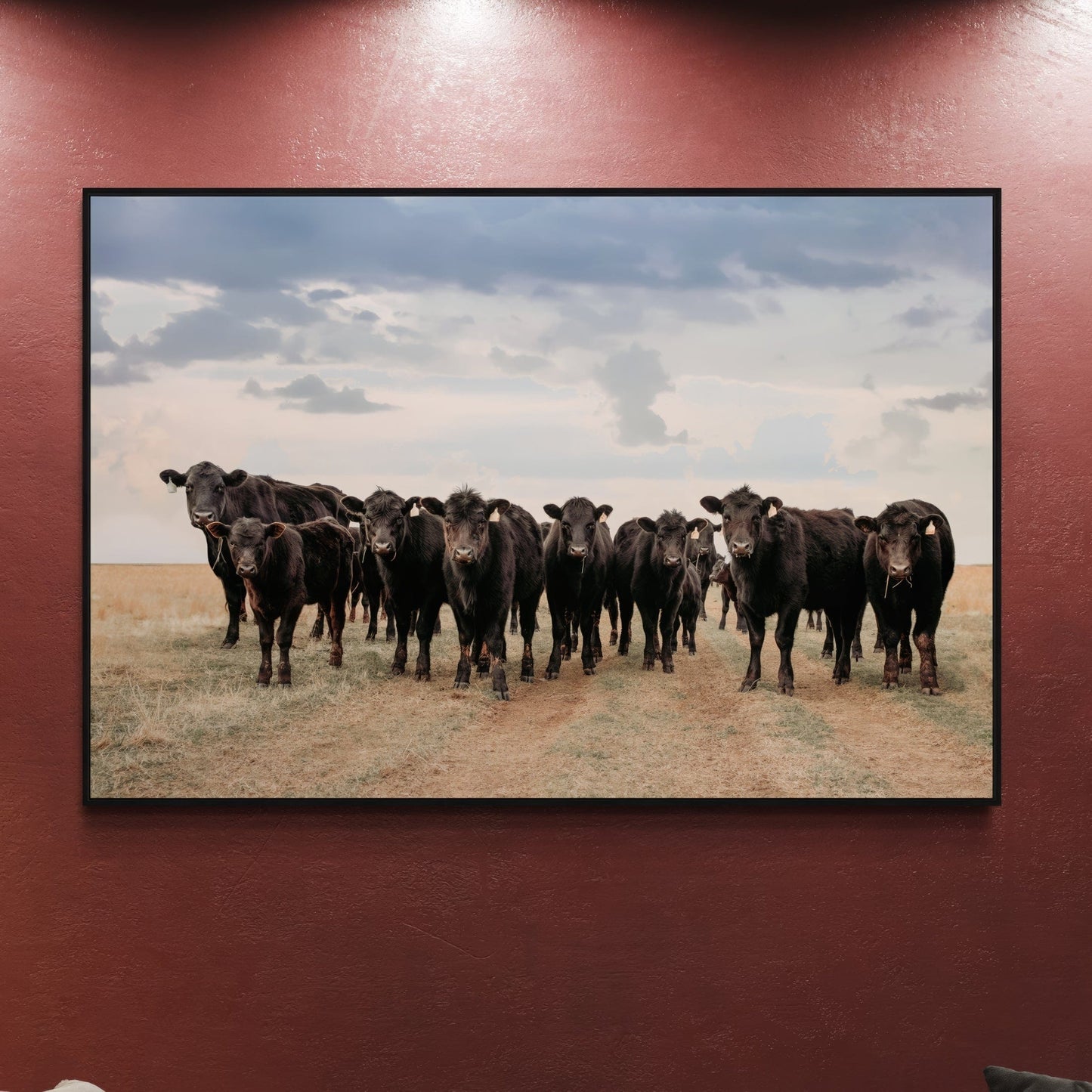 Black Angus Cattle Decor - Blue Oklahoma Sky Wall Art Teri James Photography