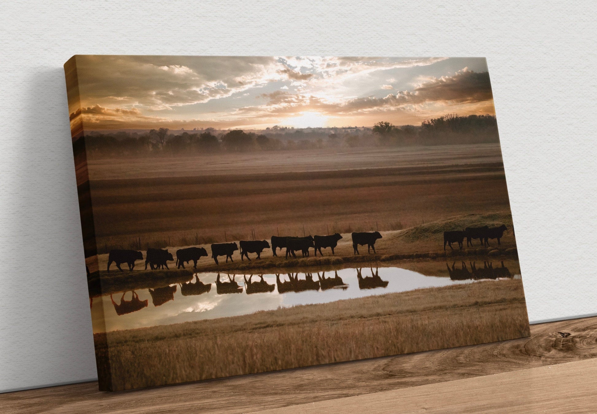 Black Angus Cattle Wall Art - Reflections Canvas-Unframed / 12 x 18 Inches Wall Art Teri James Photography