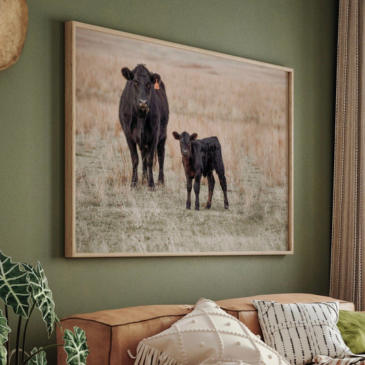 Black Angus Cow and Calf Canvas Print Wall Art Teri James Photography