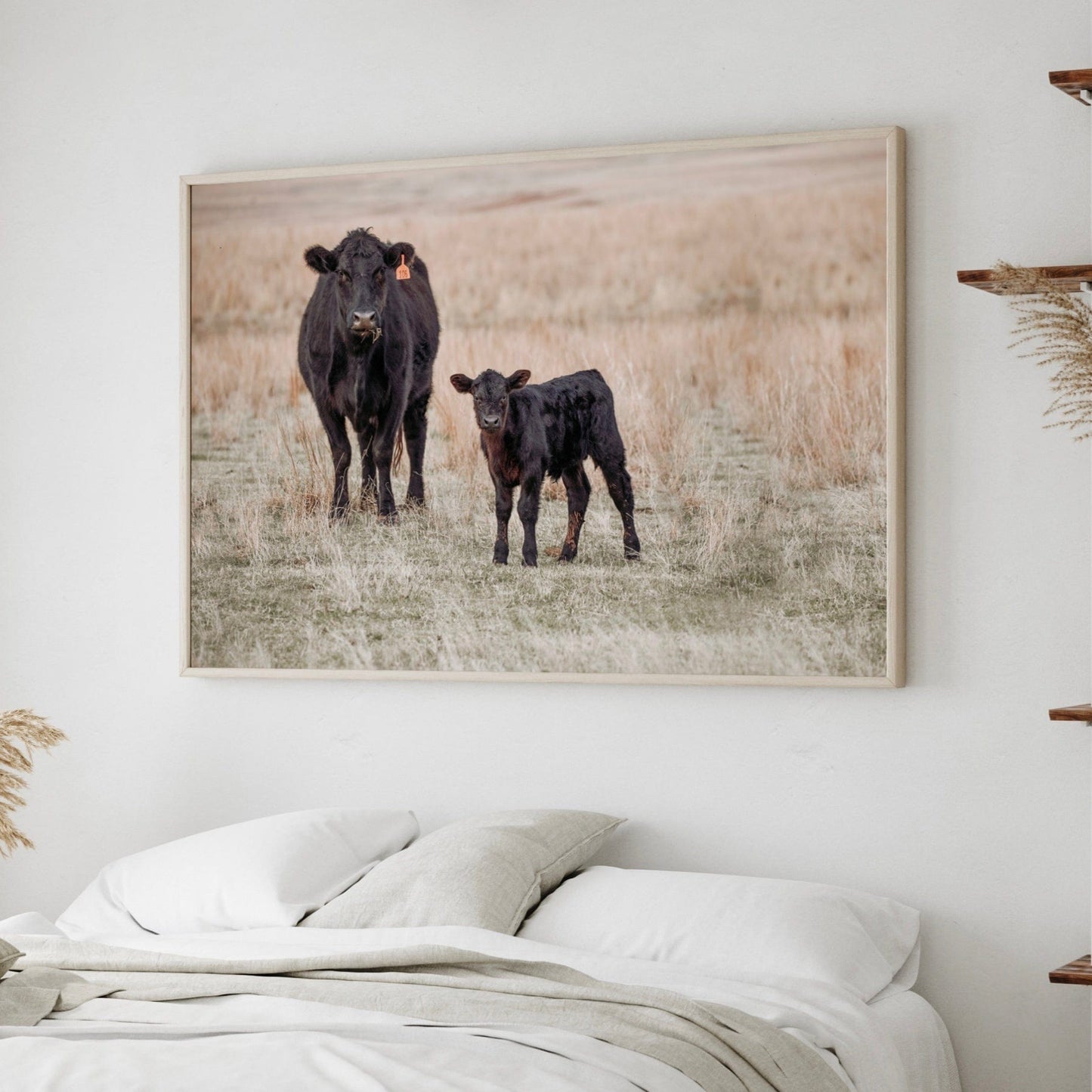Black Angus Cow and Calf Canvas Print Wall Art Teri James Photography