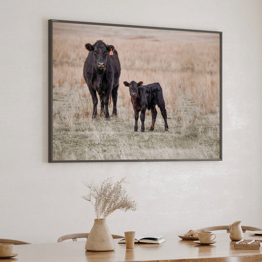 Black Angus Cow and Calf Canvas Print Wall Art Teri James Photography
