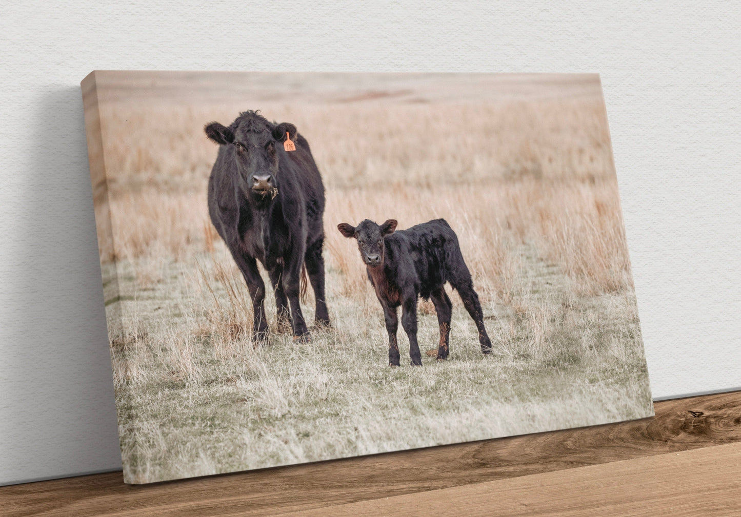 Black Angus Cow and Calf Canvas Print Canvas-Unframed / 12 x 18 Inches Wall Art Teri James Photography