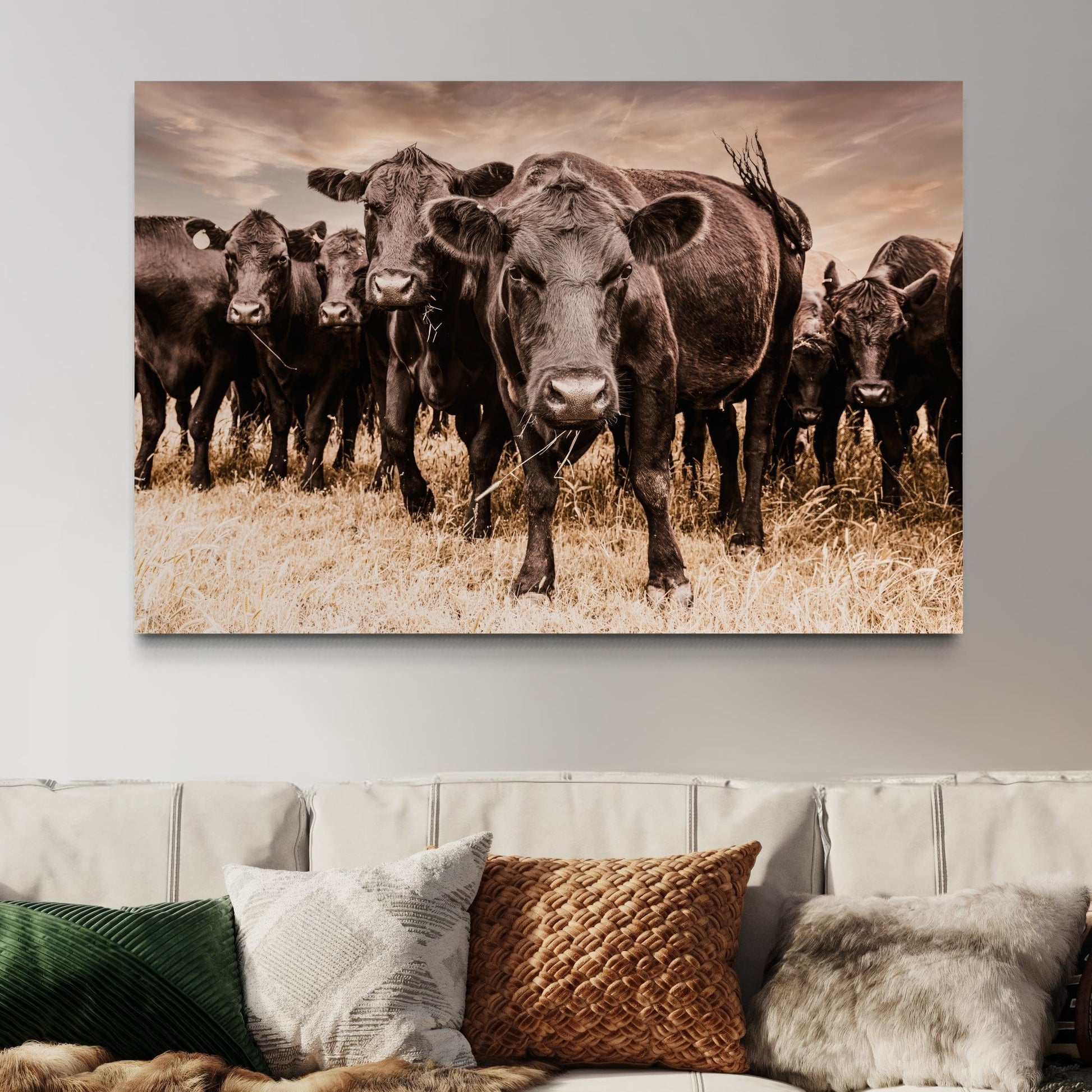 Black Angus Cow Canvas Wall Art Wall Art Teri James Photography