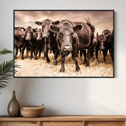 Black Angus Cow Canvas Wall Art Wall Art Teri James Photography