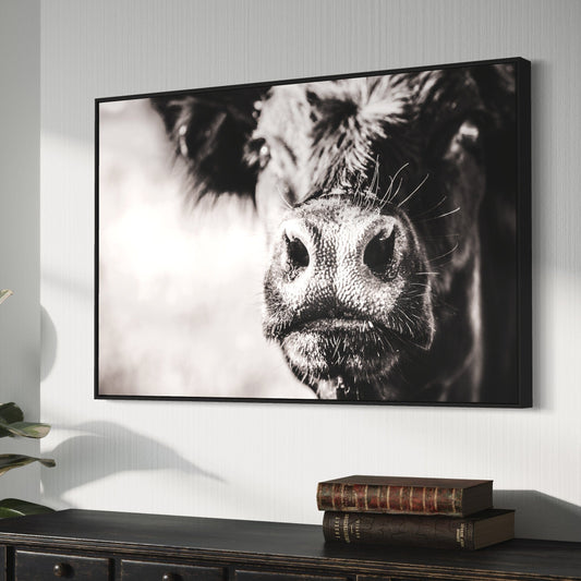 Black Angus Cow Closeup Wall Art Teri James Photography