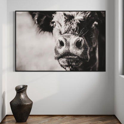 Black Angus Cow Closeup Wall Art Teri James Photography