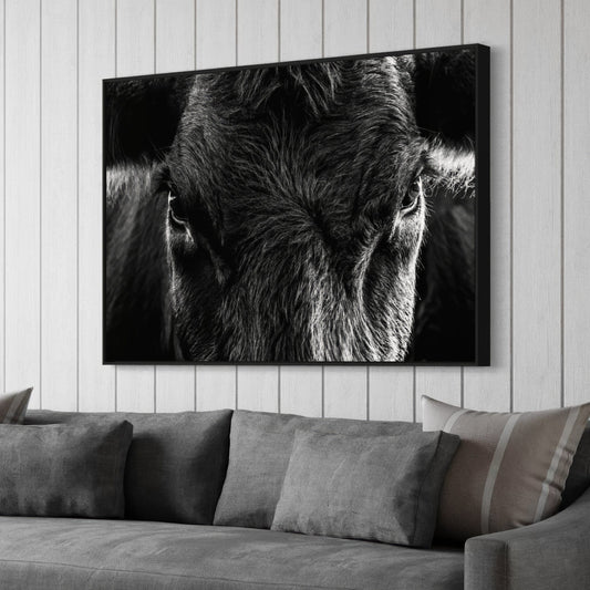 Black Angus Extreme Closeup in Black & White Wall Art Teri James Photography