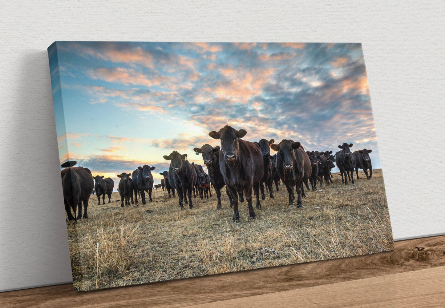 Black Angus Wall Art - Cows at Sunset Canvas-Unframed / 12 x 18 Inches Wall Art Teri James Photography