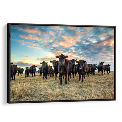 Black Angus Wall Art - Cows at Sunset Canvas-Black Frame / 12 x 18 Inches Wall Art Teri James Photography