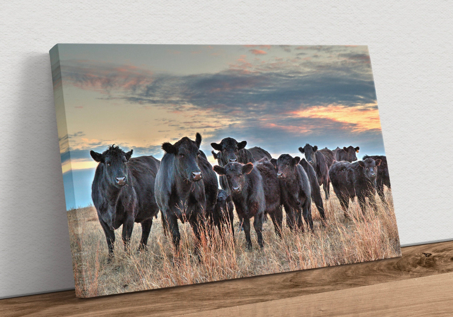 Black Angus Wall Art - Herd at Sunset Canvas-Unframed / 12 x 18 Inches Wall Art Teri James Photography