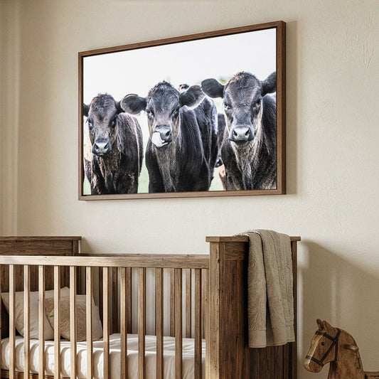 Black Angus Western Nursery Decor Wall Art Teri James Photography