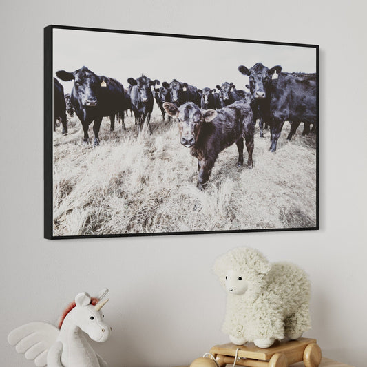 Black Angus Western Nursery Wall Art Wall Art Teri James Photography