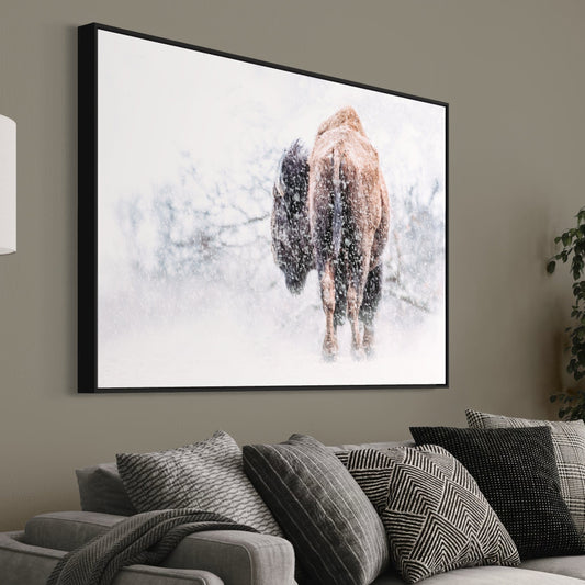 Buffalo Canvas Art Wall Art Teri James Photography