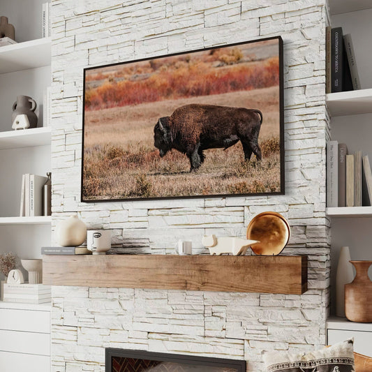 Buffalo Wall Decor - Yellowstone Bison Wall Art Teri James Photography