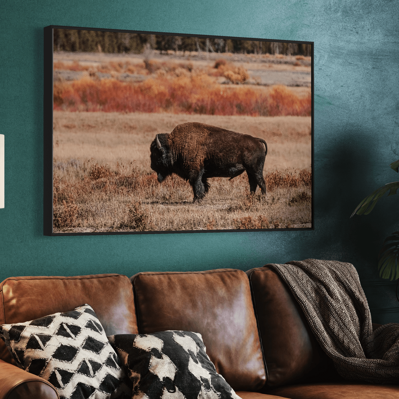 Buffalo Wall Decor - Yellowstone Bison Wall Art Teri James Photography