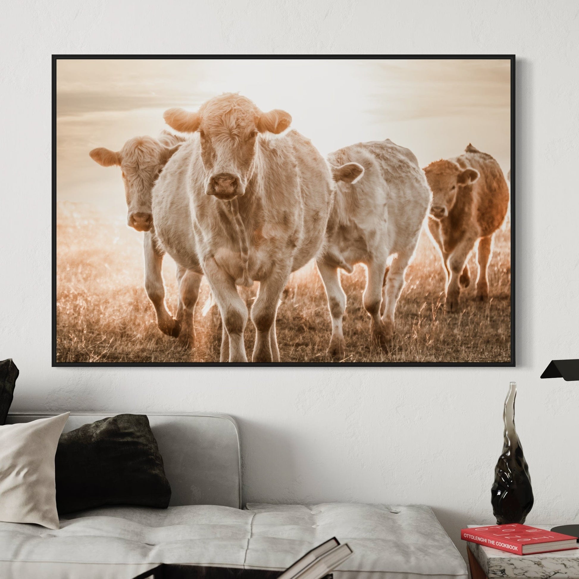 Charolais Cattle Wall Canvas Wall Art Teri James Photography
