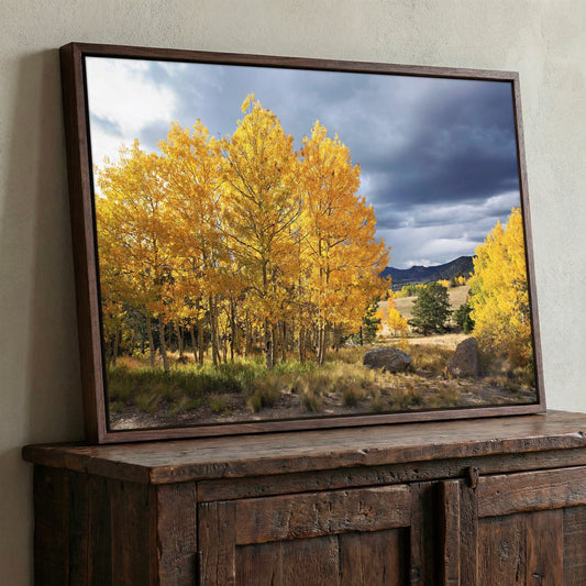 Colorado Landscape - Fall Aspen Trees Wall Art Teri James Photography