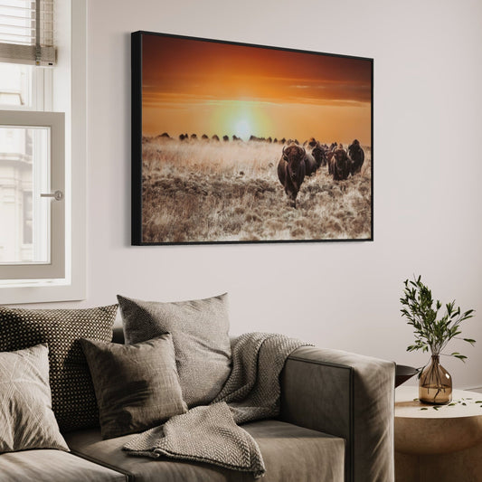 Colorful Bison Canvas Print Wall Art Teri James Photography