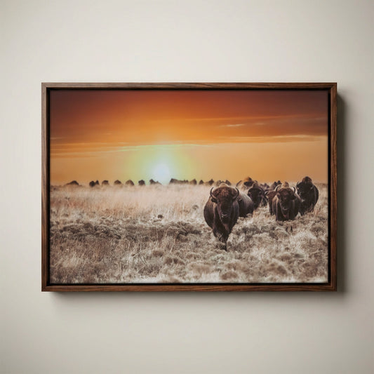 Colorful Bison Canvas - Vibrant Wildlife Decor