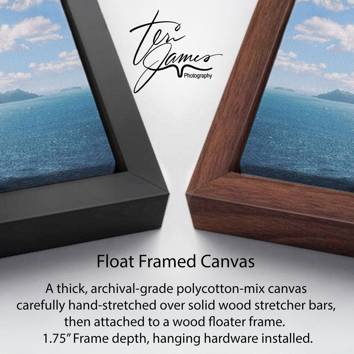 float framed canvas details