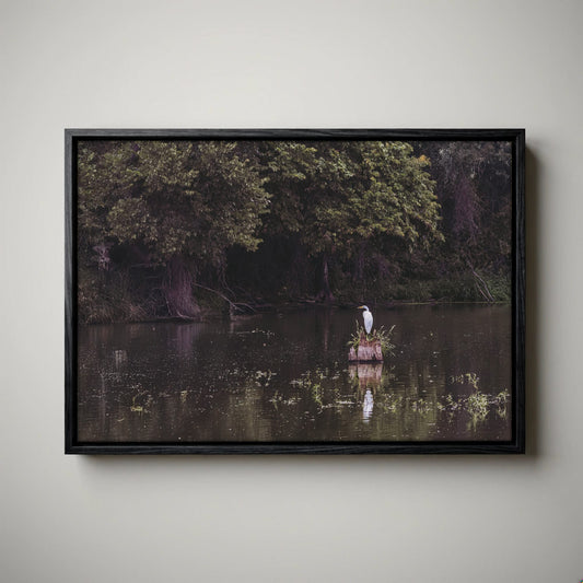 Great Egret - Rural Landscape Wall Art