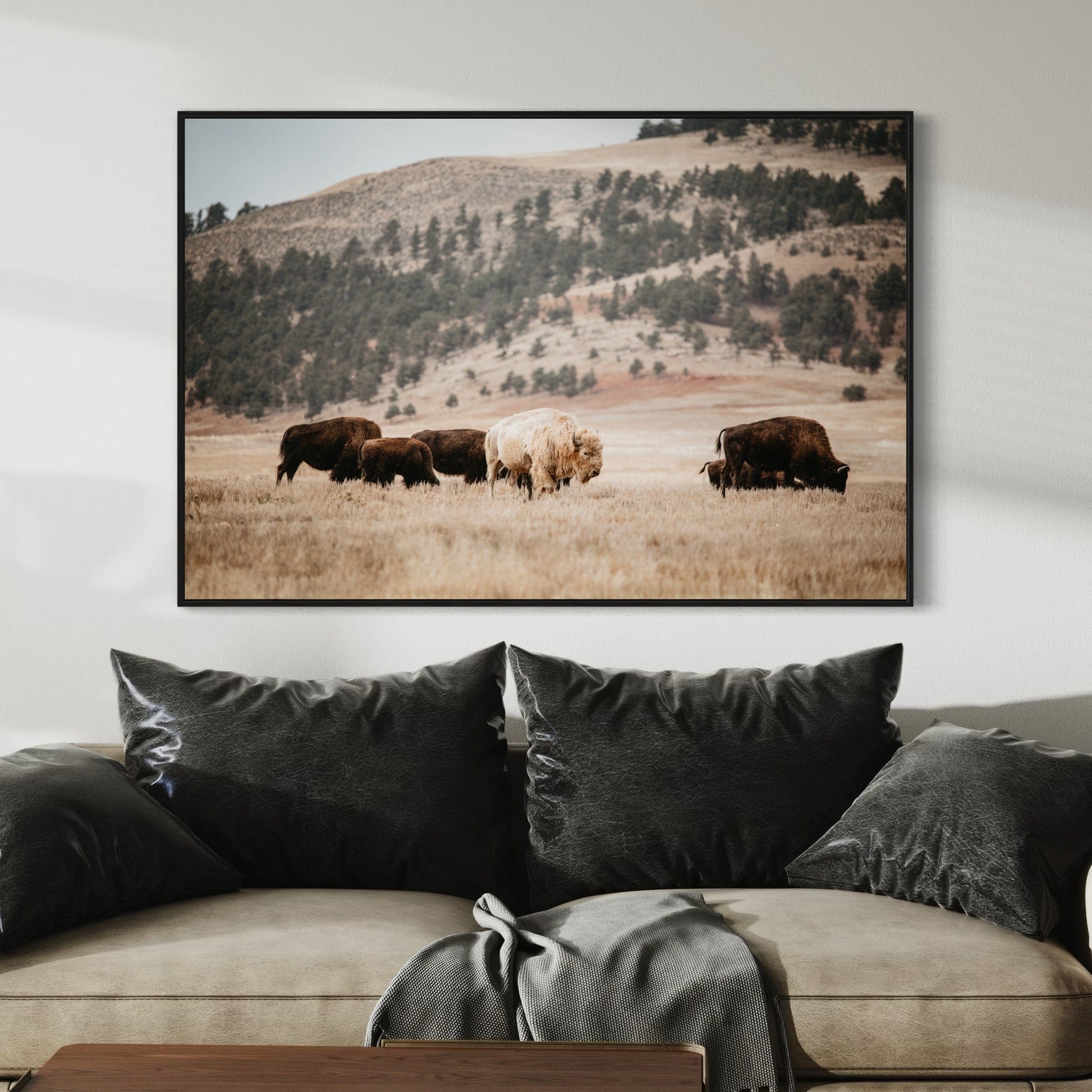 Great White Buffalo Canvas Print - Spirit Bison Wall Art Teri James Photography