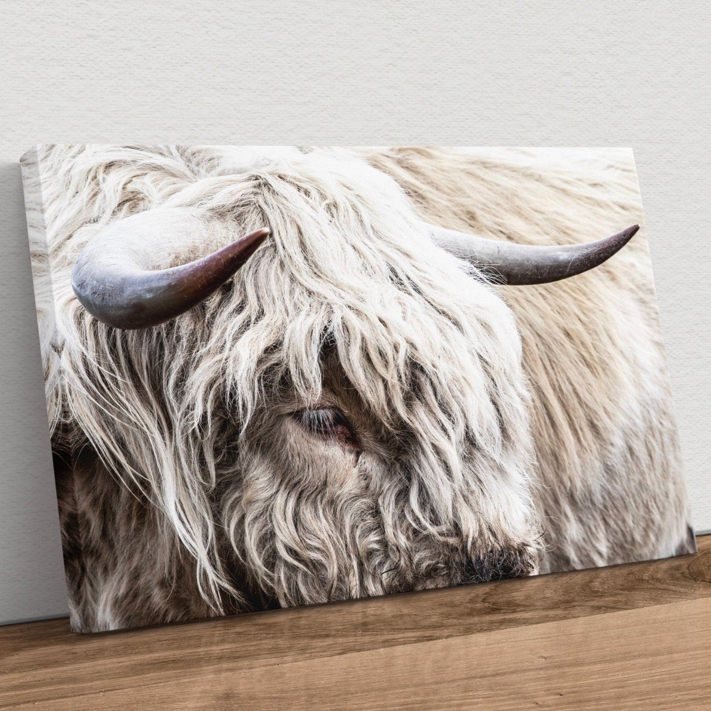 Highland Bull Canvas Print - Modern Cow Art Canvas-Unframed / 12 x 18 Inches Wall Art Teri James Photography