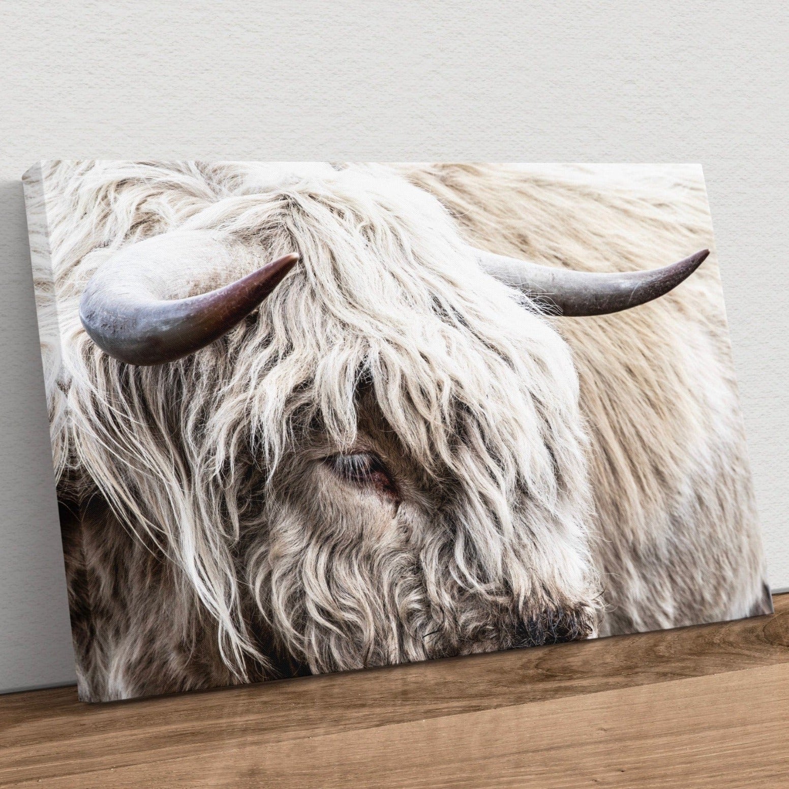 Highland Bull Canvas Print - Modern Cow Art Canvas-Unframed / 12 x 18 Inches Wall Art Teri James Photography