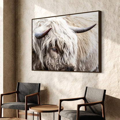 Highland Bull Canvas Print - Modern Cow Art Wall Art Teri James Photography