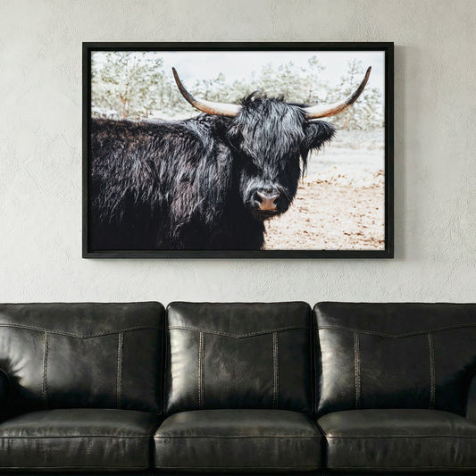Highland Cattle Picture Wall Art Teri James Photography