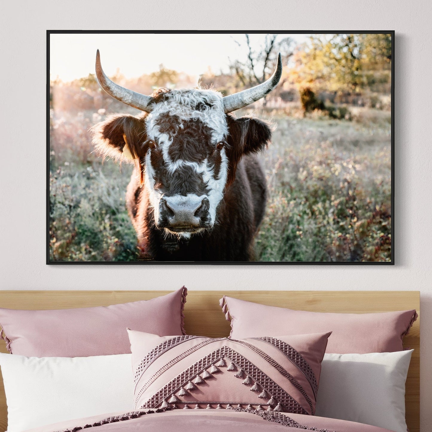 Highland Cow Canvas Print - Black and White Cow Wall Art Teri James Photography