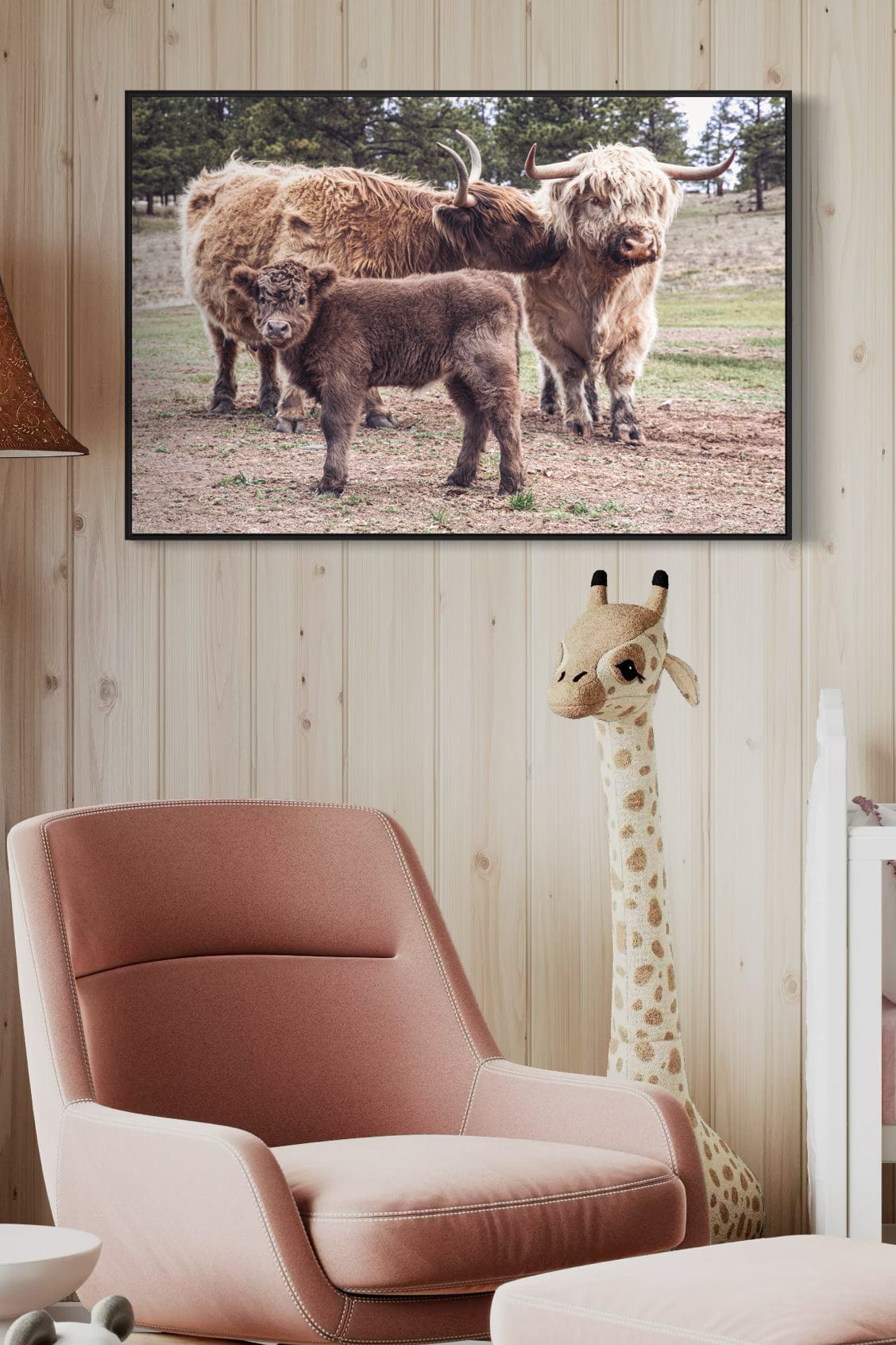 Highland Cow Nursery Canvas - Cute Animal Wall Art For Kids Room